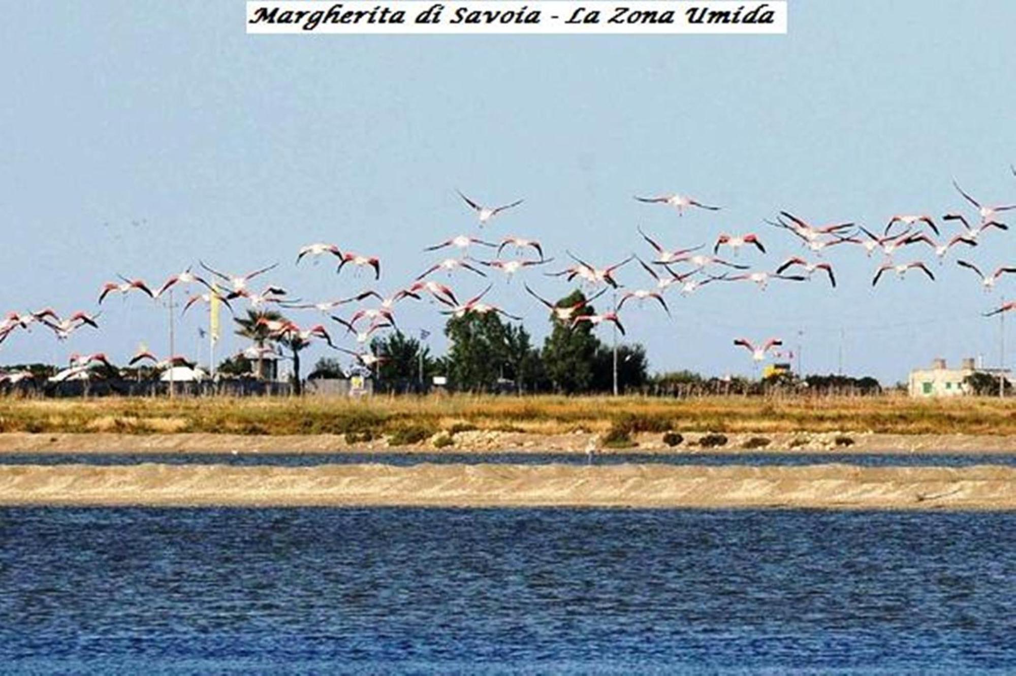 Hotel Tenuta San Francesco Barletta Eksteriør bilde